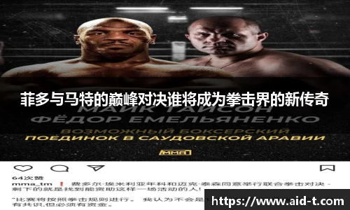 菲多与马特的巅峰对决谁将成为拳击界的新传奇